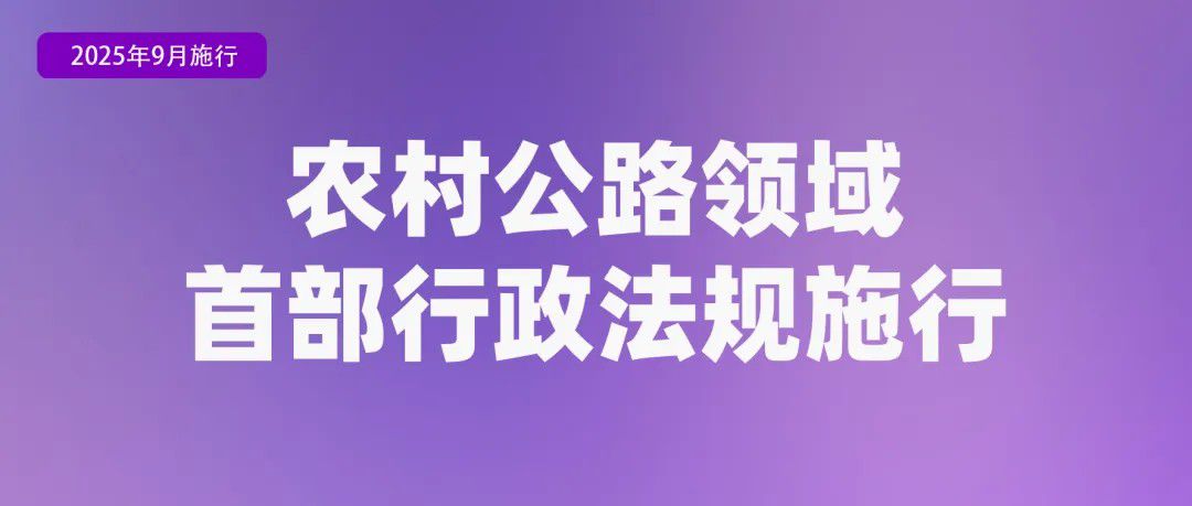 1756689358699279.jpg 2.jpg